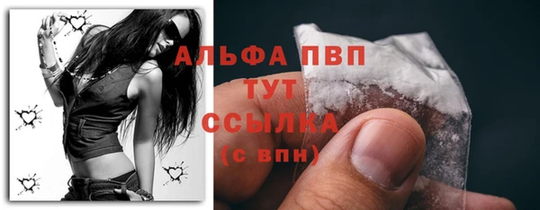 эйфоретик Белокуриха
