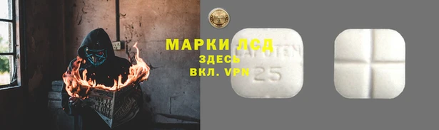 эйфоретик Белокуриха