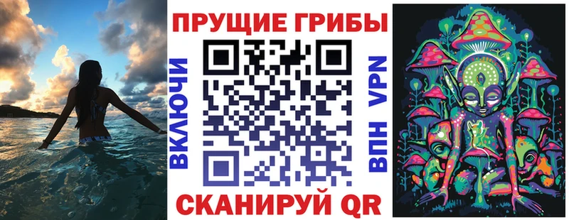Купить закладки  Колпашево  Псилоцибиновые грибы мухоморы 